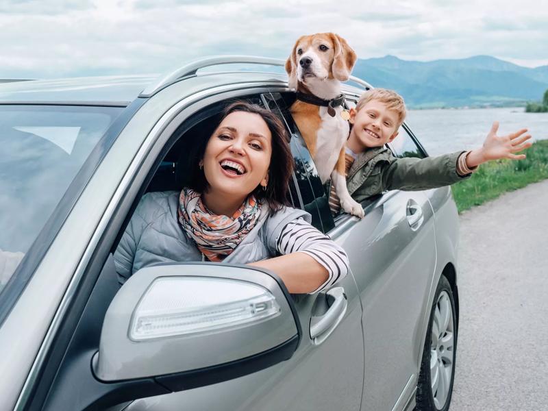 family driving in the car