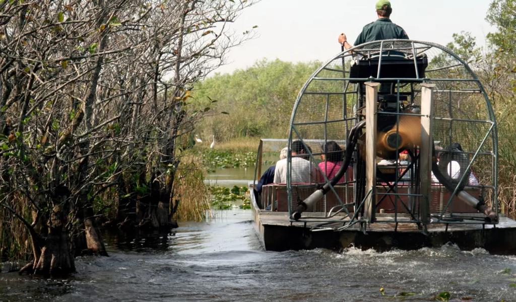 airboat tour