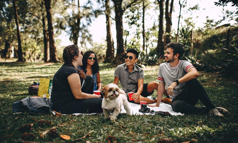 family in dog park