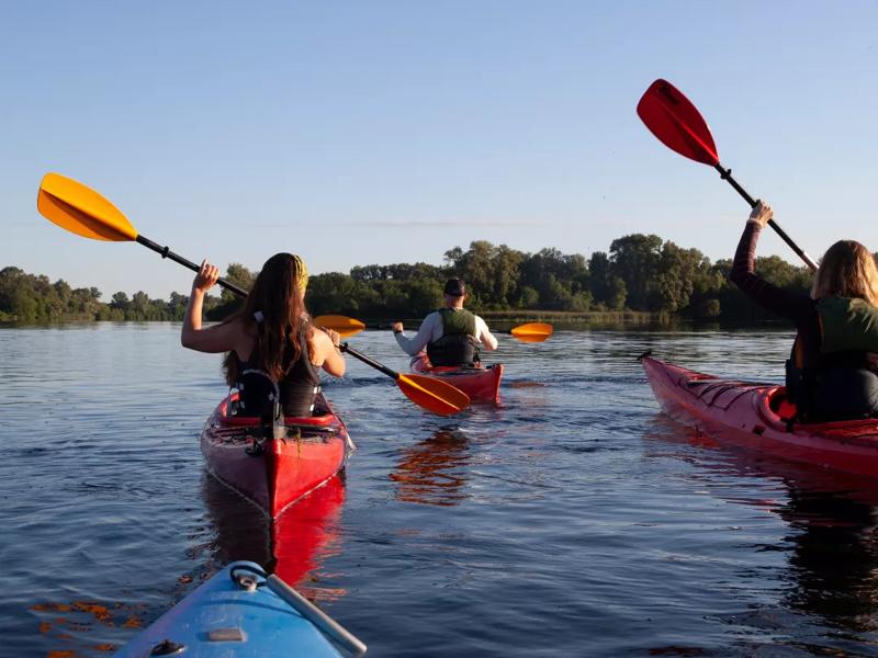 canoe near water