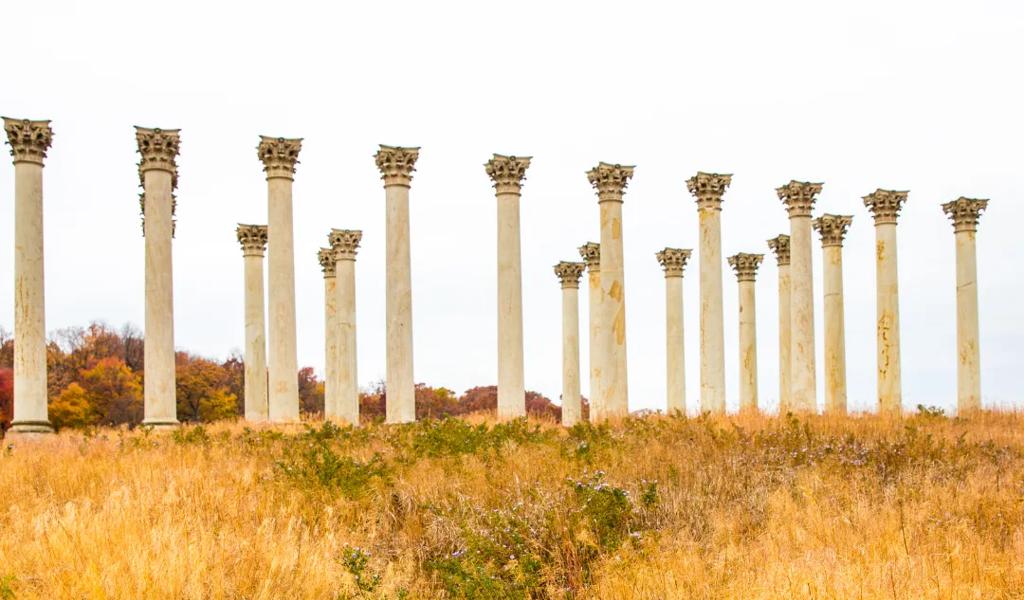 Top 7 Outdoor Activities in DC Red Roof