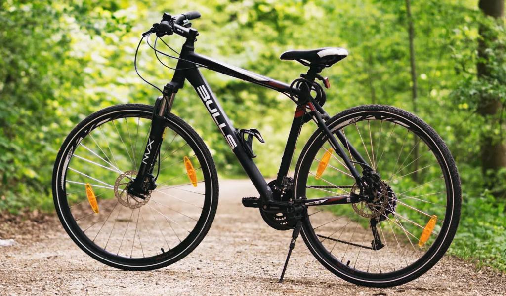 Bicycle in a forest