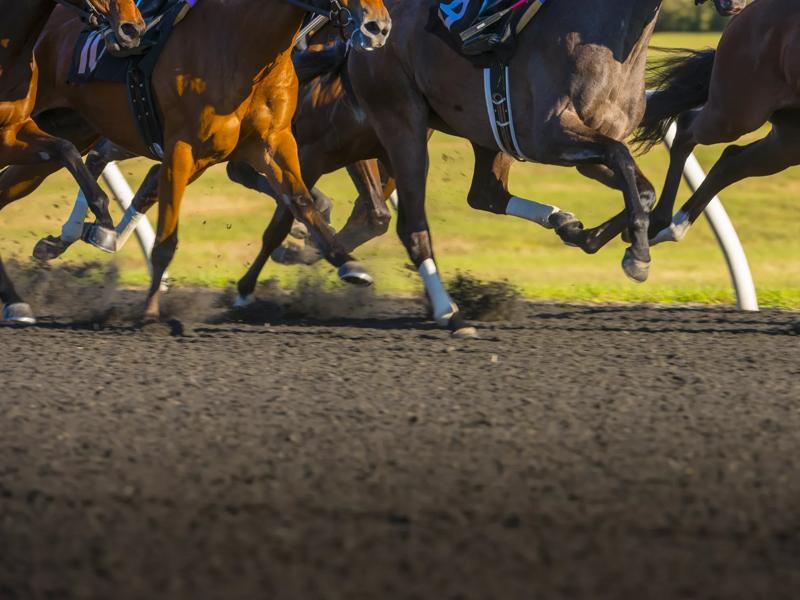 horse race track