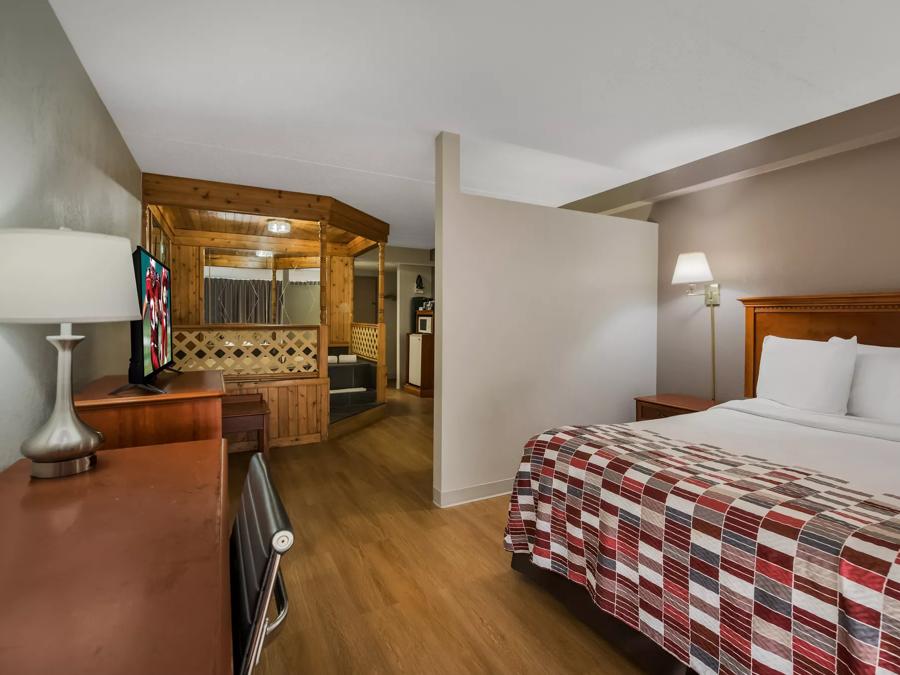 Red Roof Inn & Suites Newark - University Single King Room Image