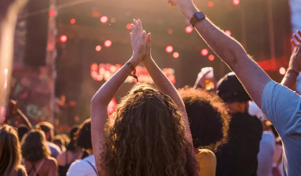 Audience enjoying live concert