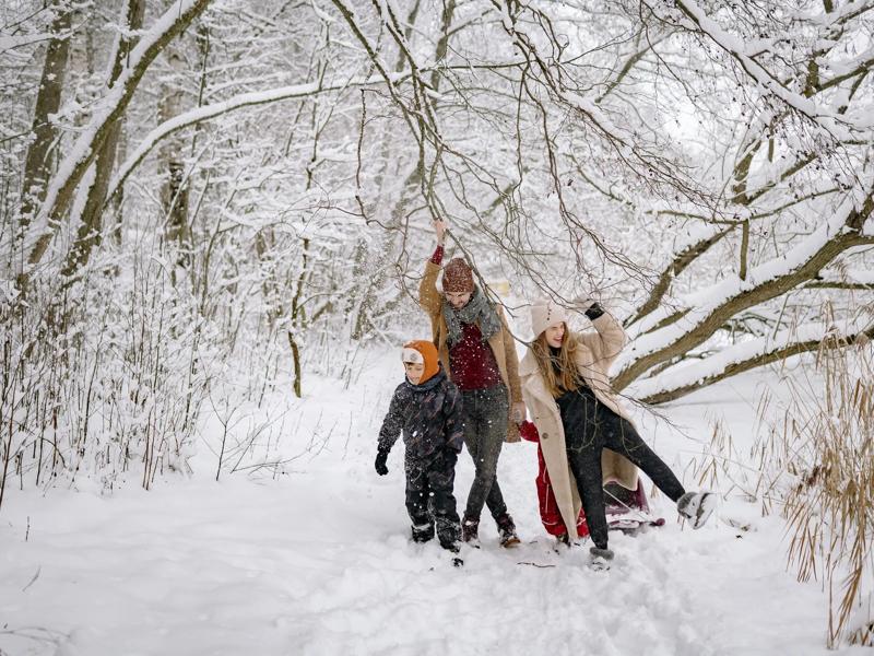 winter family in woods