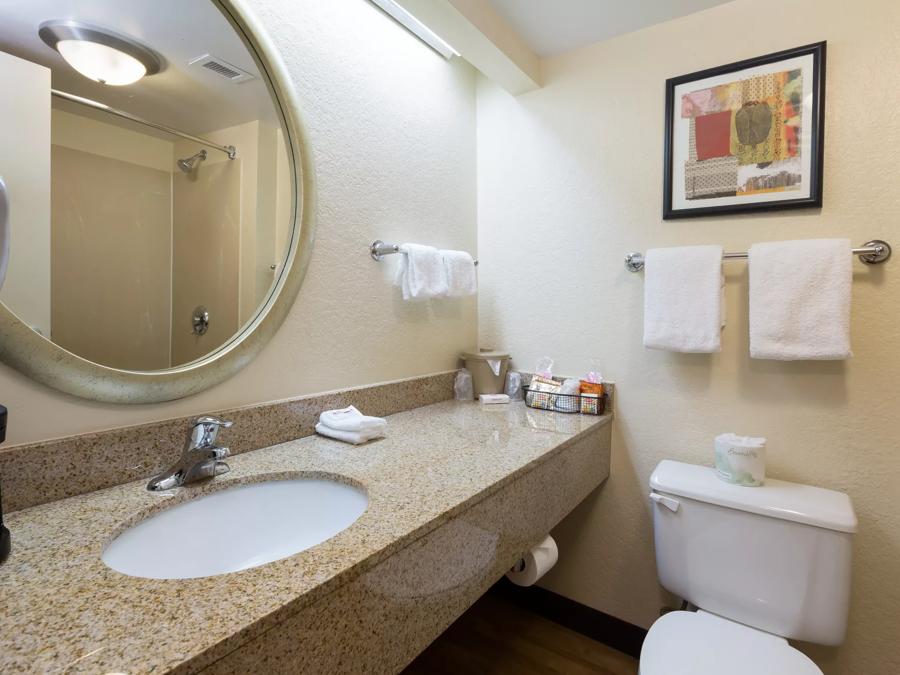 Red Roof Inn Houston - Westchase Superior King Larger Room Non-Smoking Bathroom