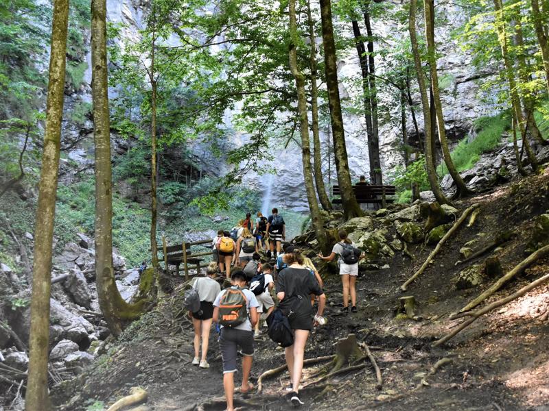 group of people on hike in woods