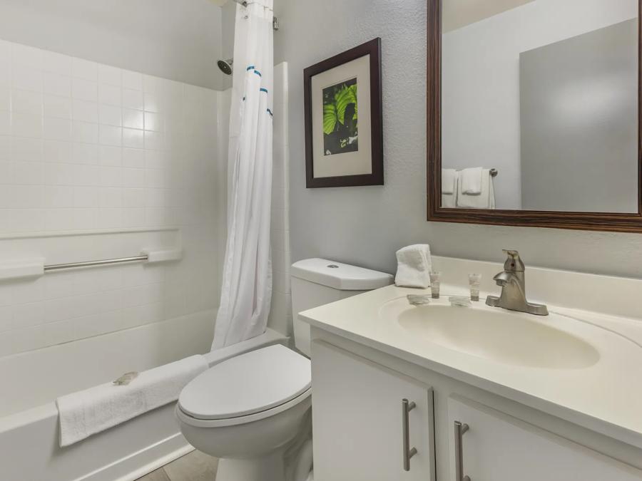 HTS1506_Bathroom 1 PRO Approved 7-25-25 Image