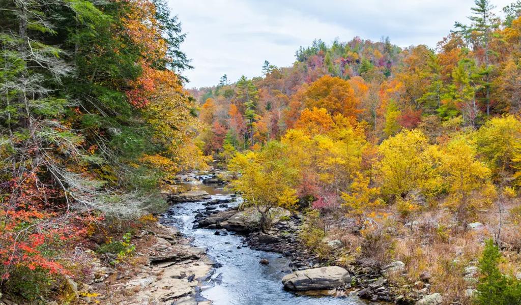 Autumn river landscape