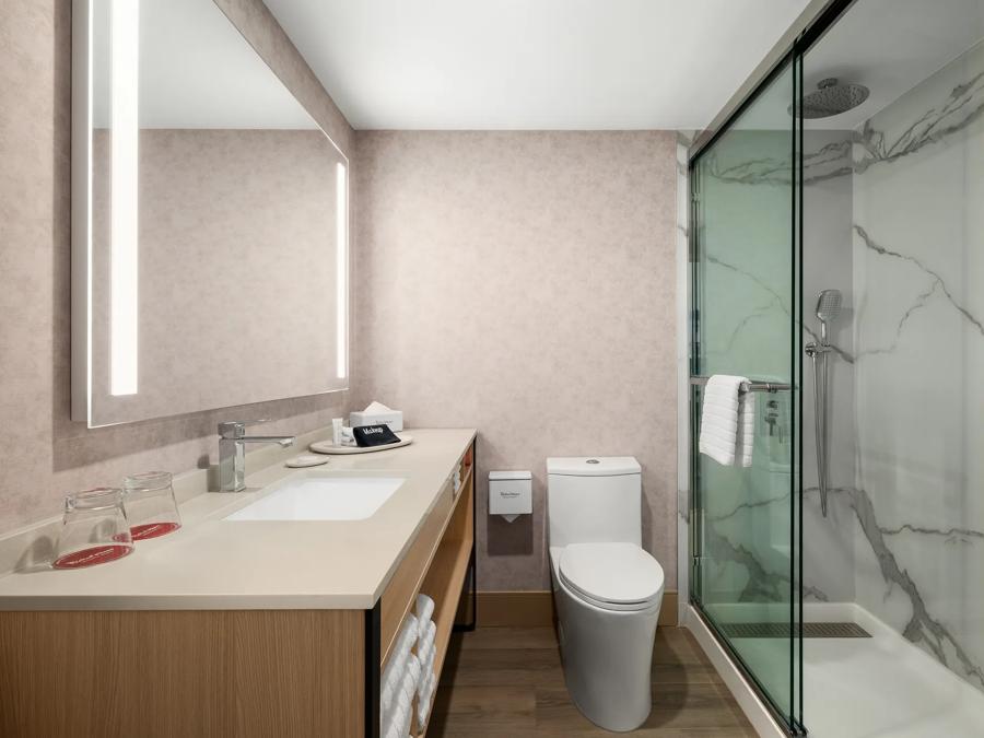 Red Roof PLUS+ Vancouver Airport Premium King with Mountain View Smoke Free Bathroom Image