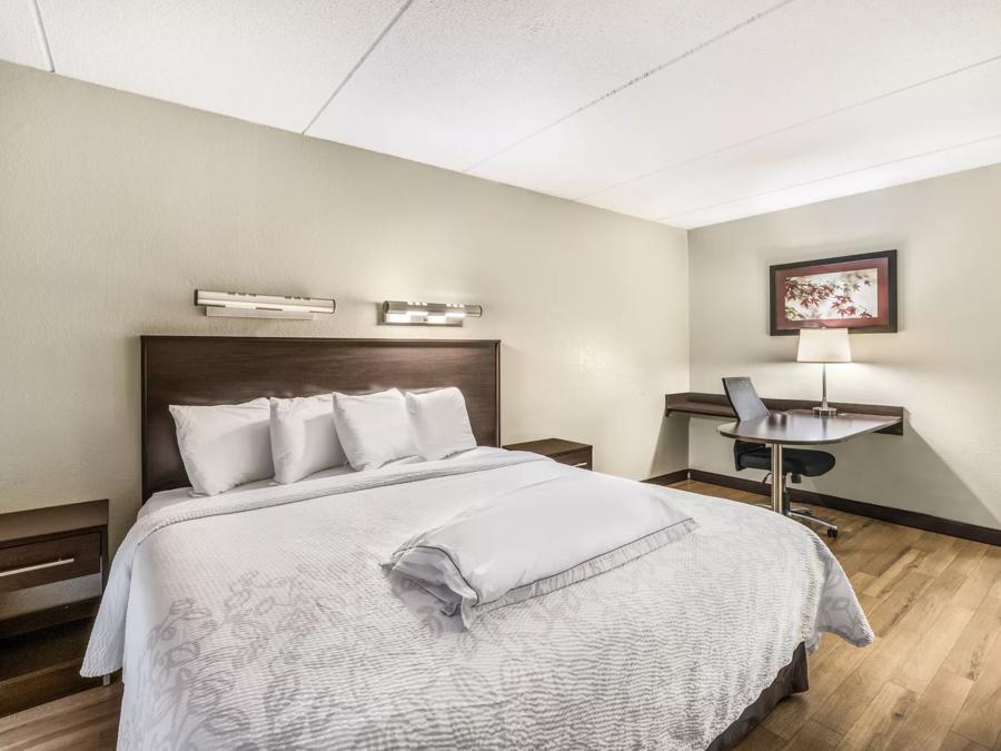 Red Roof PLUS+ Boston - Woburn/Burlington Premium King Bed Room