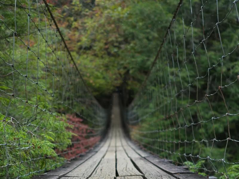 Falls Creek State Park