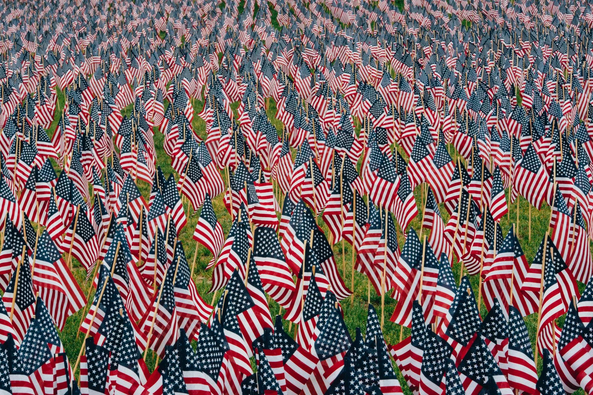 American flags stuck in the ground