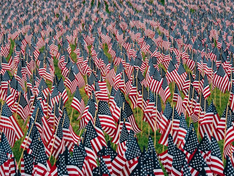 field of American flags